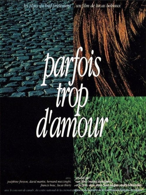 Movie poster for Parfois trop d'amour (1993)