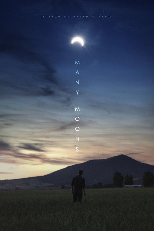 Movie poster for Many Moons (2018)
