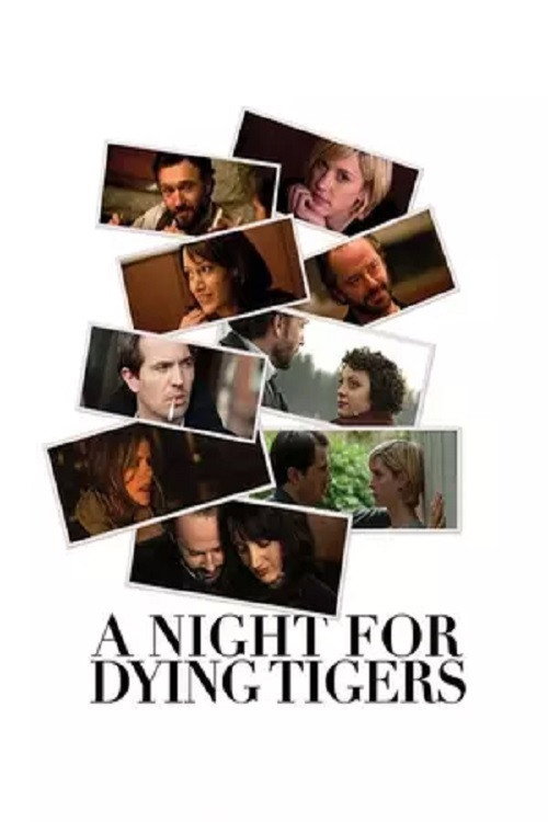 Movie poster for A Night for Dying Tigers (2010)