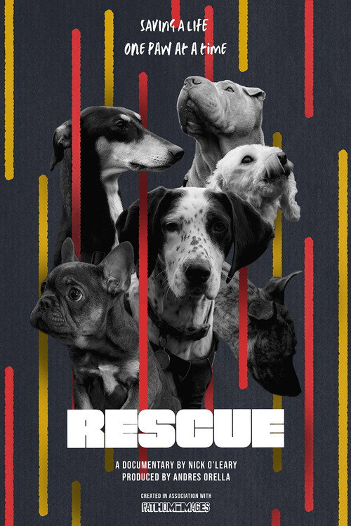 Movie poster for RESCUE (2024)