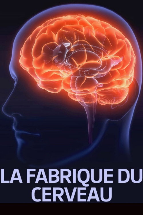 Movie poster for La fabrique du cerveau (2017)