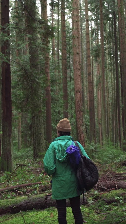 Movie poster for Forest Movie (2017)