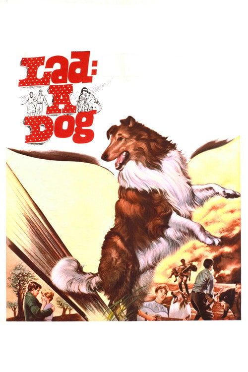 Movie poster for Lad: A Dog (1962)