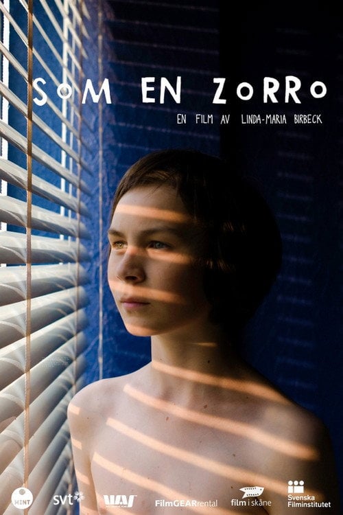 Movie poster for Just Like Zorro (2012)