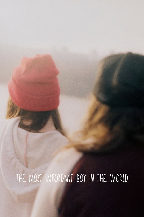 Movie poster for The Most Important Boy in the World (2016)