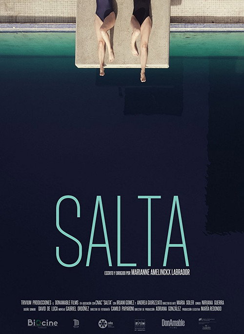 Movie poster for Dive (2017)