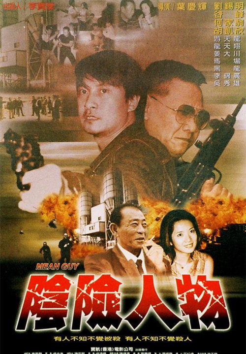 Movie poster for Mean Guy (2004)