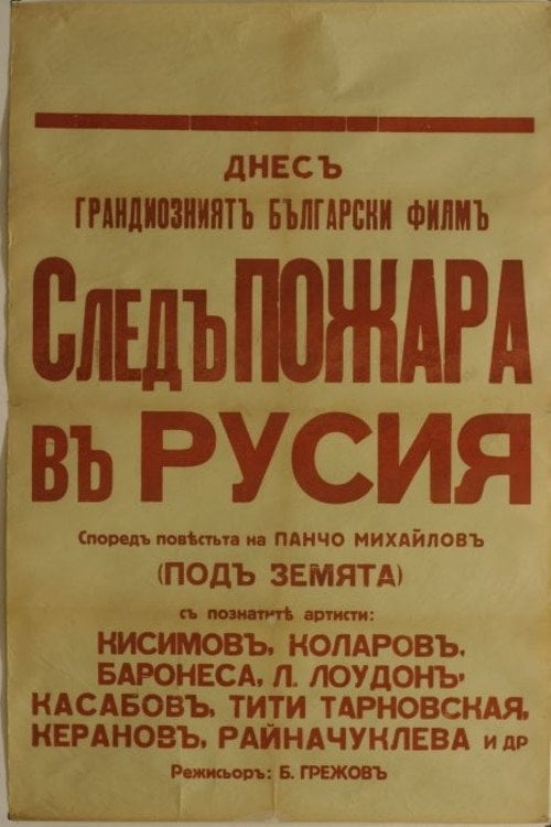 Movie poster for After the Fire in Russia (1929)