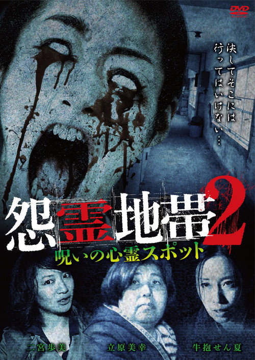 Movie poster for Grudge Zone 2: Cursed Haunted Spots (2015)
