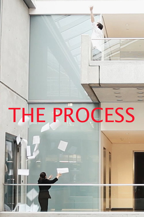 Movie poster for The Process (2016)