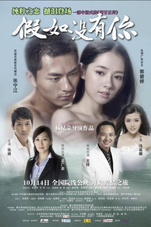Movie poster for 假如没有你 (2011)