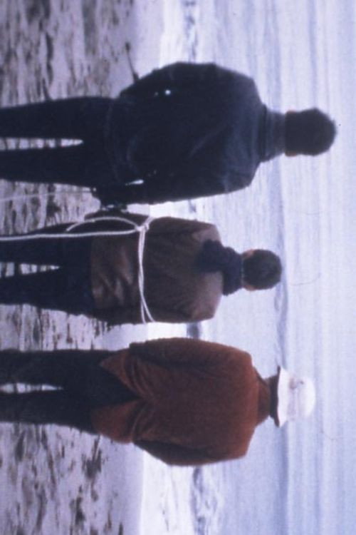 Movie poster for バッド デット (1998)