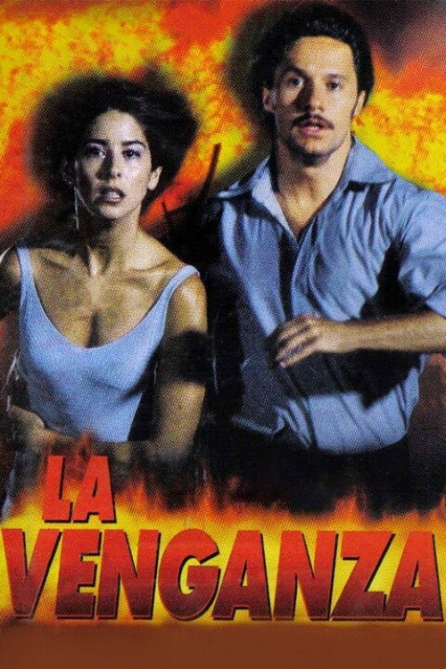 Movie poster for The Revenge (1999)