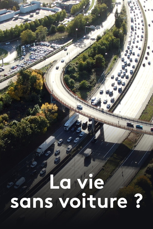 Movie poster for La Vie sans voiture ? (2024)