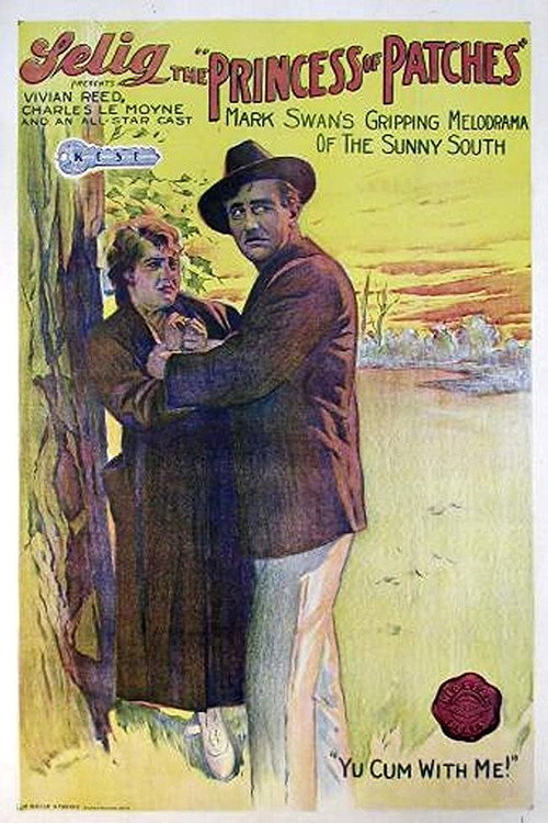 Movie poster for The Princess of Patches (1917)