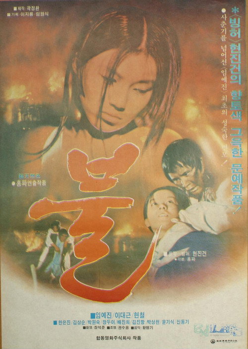 Movie poster for Fire (1978)