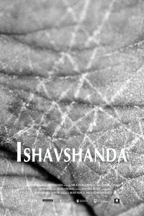 Movie poster for Ice Handscape (2014)