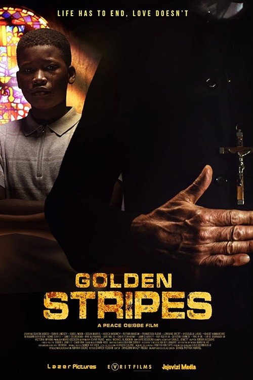 Movie poster for Golden Stripes (2023)