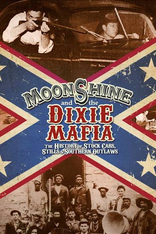 Series poster for Moonshine and the Dixie Mafia (2014)