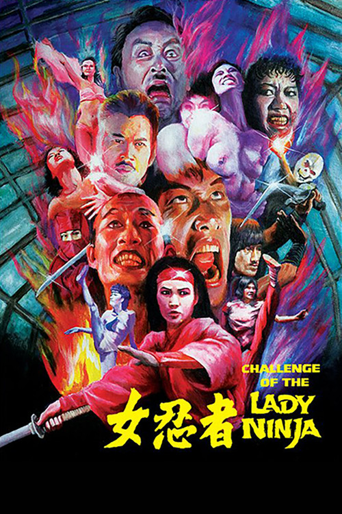 Movie poster for The Challenge of the Lady Ninja (1983)