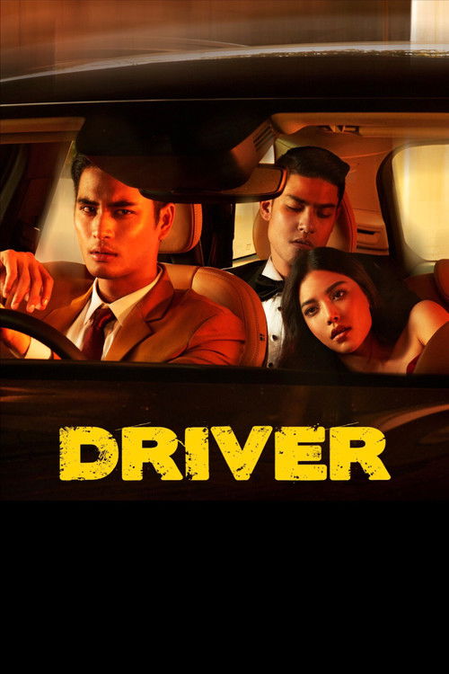 Movie poster for Driver (2017)