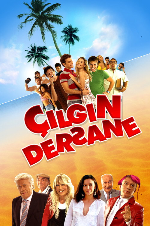 Movie poster for The Class (2007)