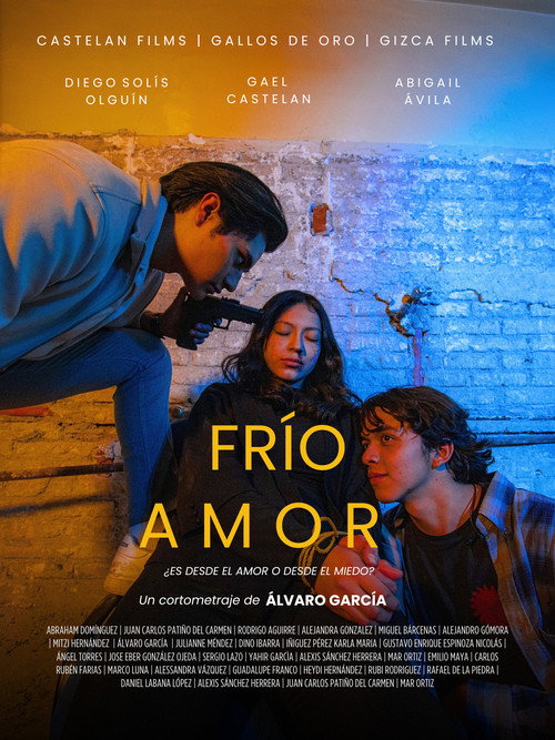 Movie poster for Frío Amor (2024)