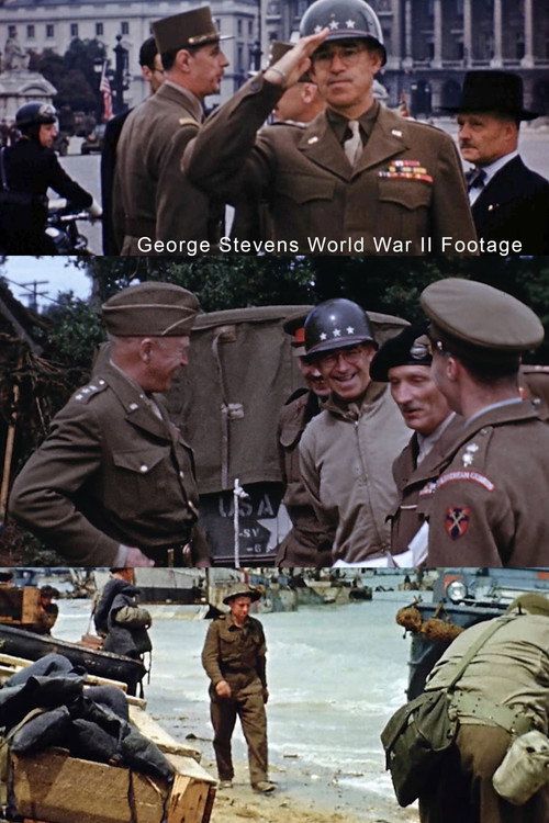 Movie poster for George Stevens World War II Footage (1946)