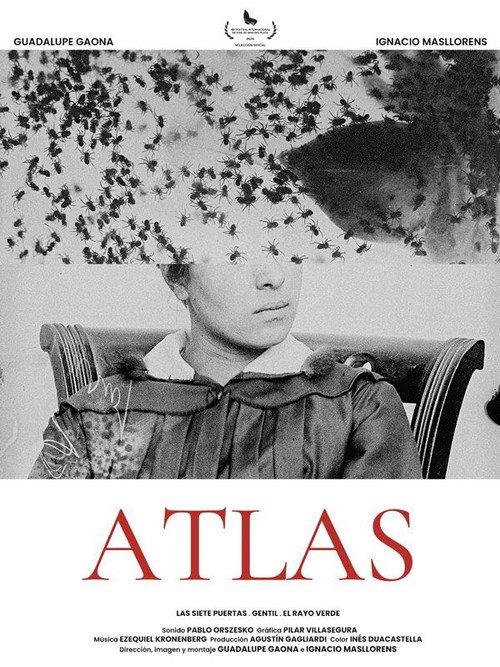 Movie poster for Atlas (2021)