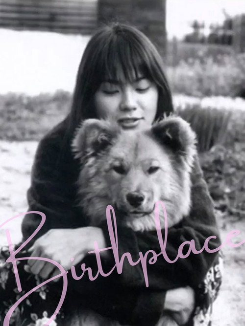 Movie poster for Birthplace (2003)