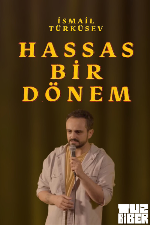 Movie poster for Hassas Bir Dönem - İsmail Türküsev (2023)