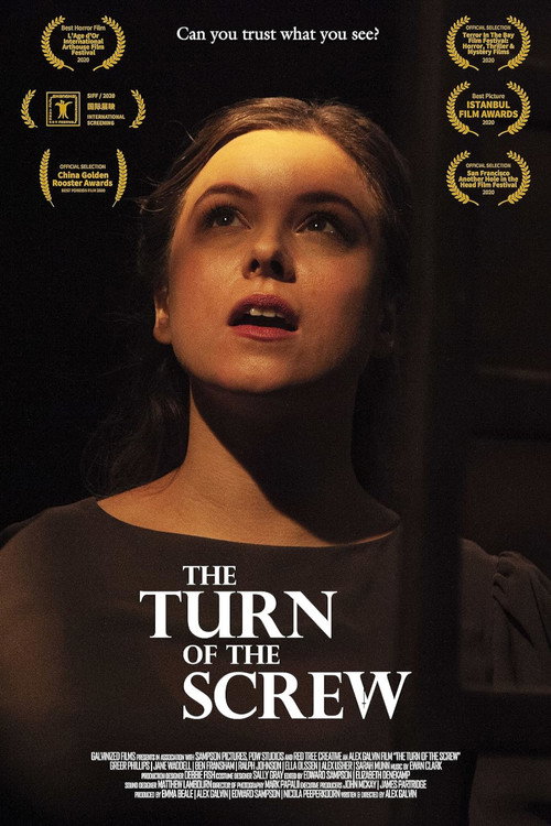 Movie poster for The Turn of the Screw (2020)