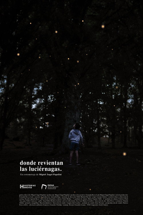 Movie poster for Where the fireflies burst (2024)