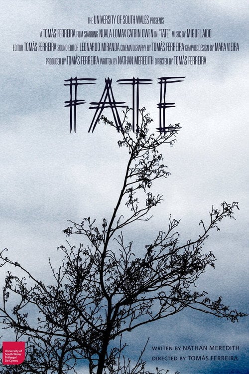 Movie poster for FATE