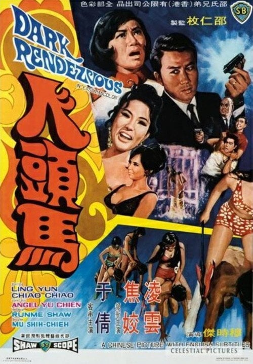 Movie poster for Dark Rendezvous (1969)