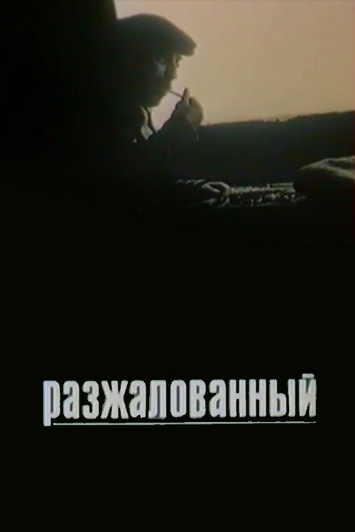 Movie poster for The Degraded (1980)