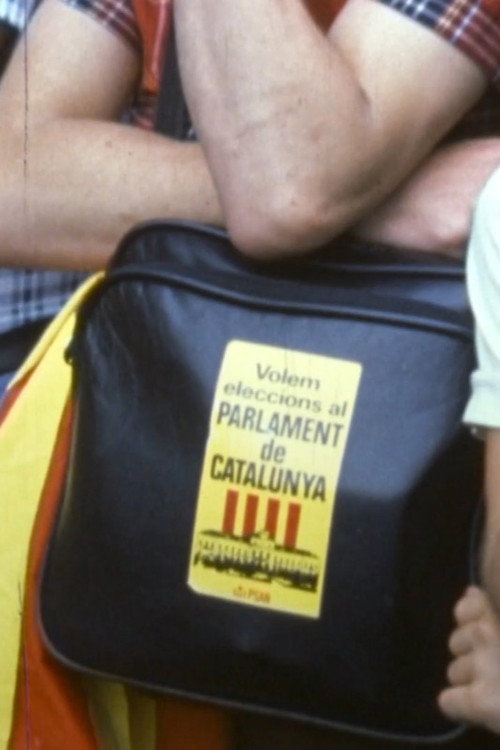 Movie poster for Som una nació (1977)