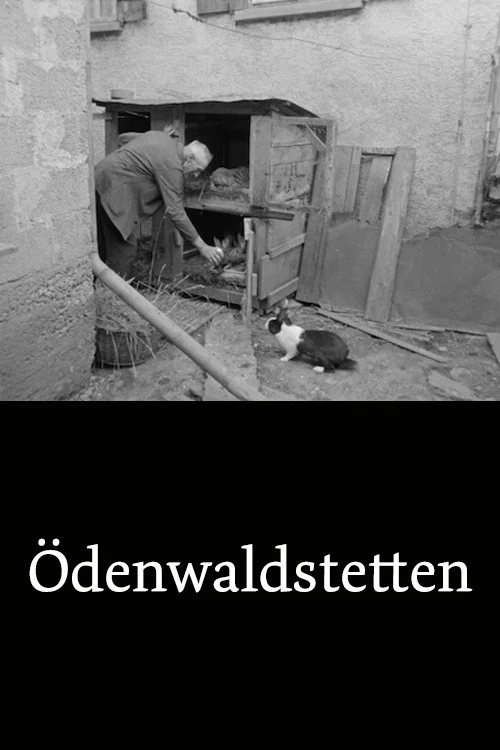 Movie poster for Ödenwaldstetten (1964)