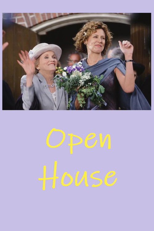 Movie poster for Open House (2003)
