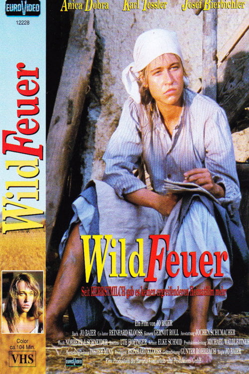 Movie poster for Wildfeuer (1991)