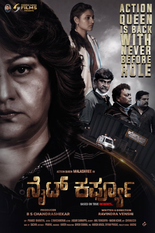 Movie poster for Night Curfew (2024)