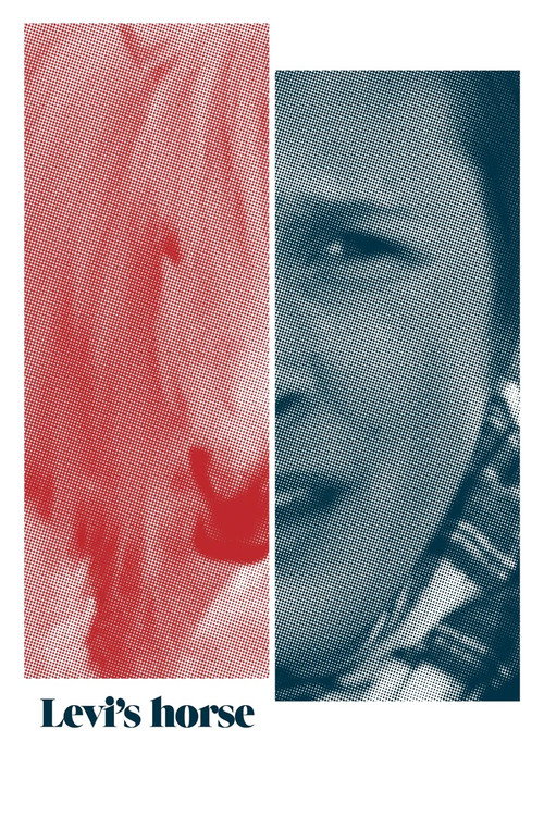 Movie poster for Levi's horse (2011)