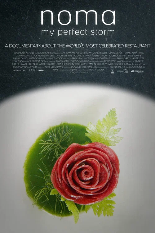 Movie poster for Noma: My Perfect Storm (2015)