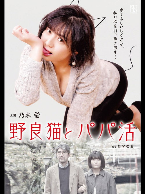 Movie poster for Stray Cats and Sugar Daddies (2020)