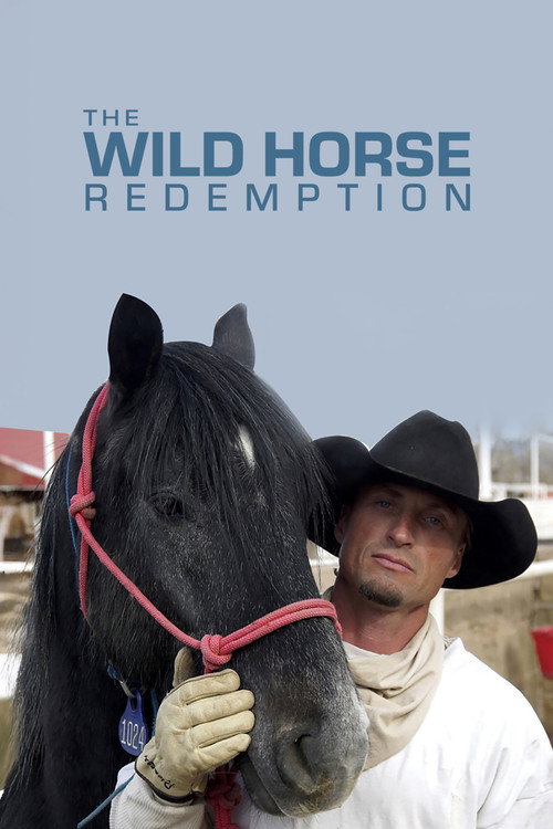 Movie poster for The Wild Horse Redemption (2007)