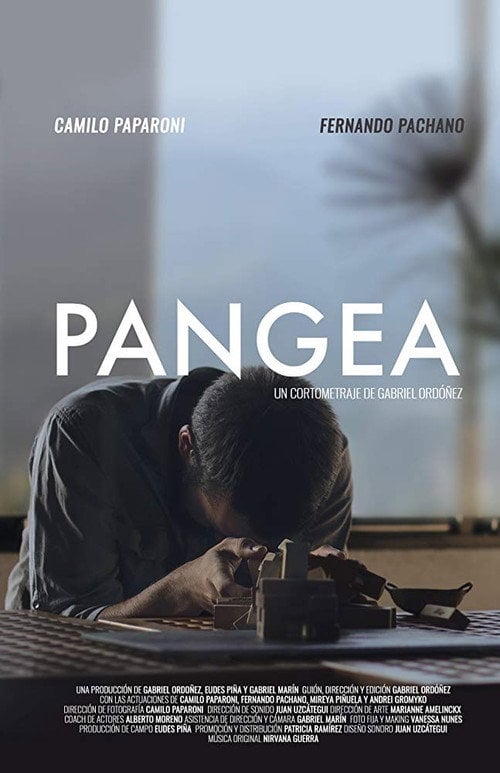 Movie poster for Pangea (2017)