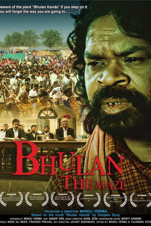 Movie poster for Bhulan The Maze (2017)