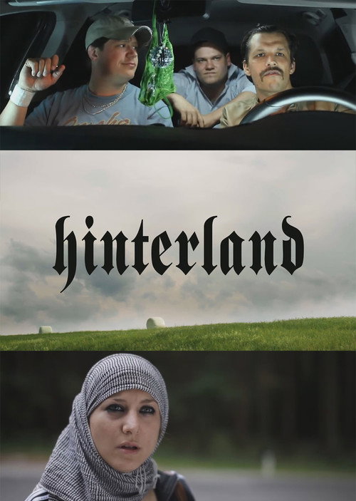Movie poster for Hinterland (2011)