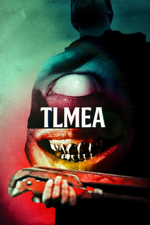 Movie poster for TLMEA (2016)