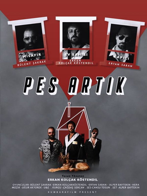 Movie poster for PES ARTIK (2020)